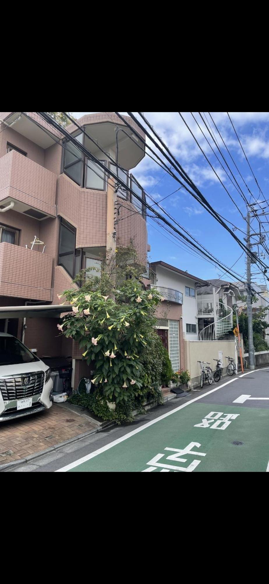 新宿安靜の家-A Quiet Home In Shinjuku - A 26 Square Meter Double Bed Room That Feels Like Home Tokio Zewnętrze zdjęcie